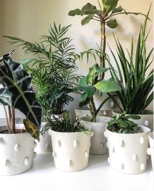 flowerpots.JPG
