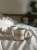 IMG_8769.jpeg