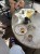 IMG_1617.jpeg